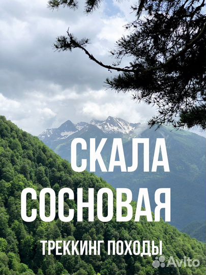 Гид, Красная поляна - Скала Сосновая