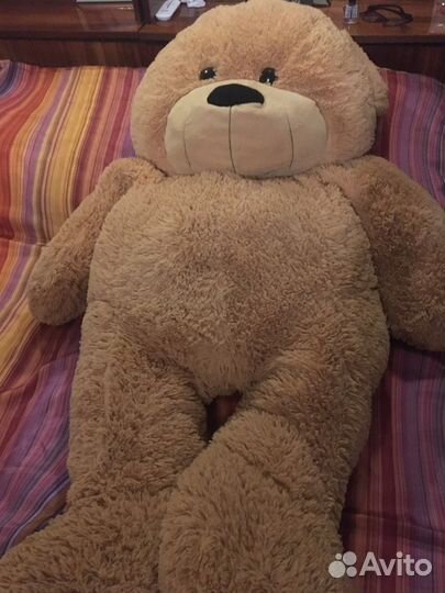 Плюшевый медведь