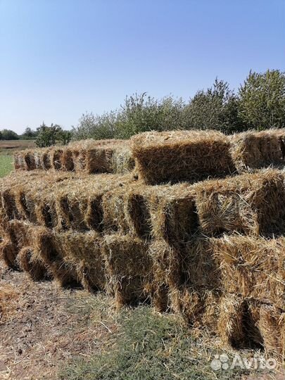Сено в тюках