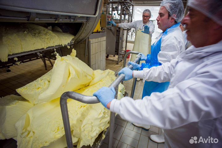 Разнорабочие оплата ежедневно (маслозавод)