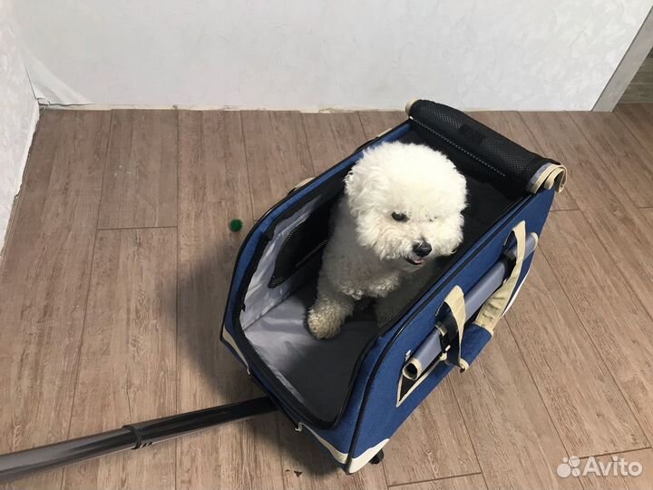 Сумка-переноска на колесах для собах и кошек