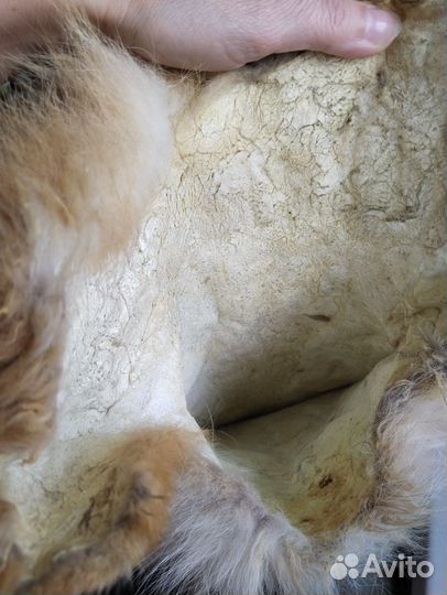 Лисья шкура