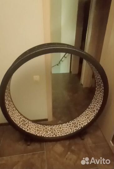 Беговое колесо для кошек. Америка