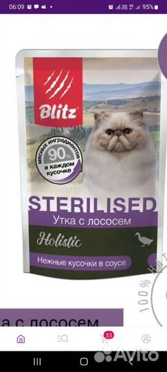 Влажный корм для кошек