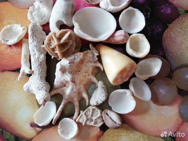 Набор для аквариума