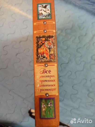 Всё о динозаврах, современных животных и растениях