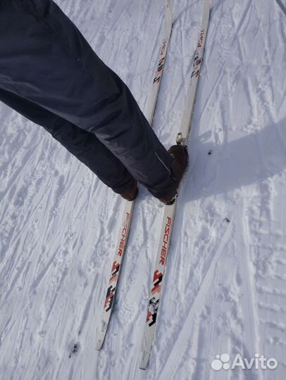 Беговые лыжи fischer