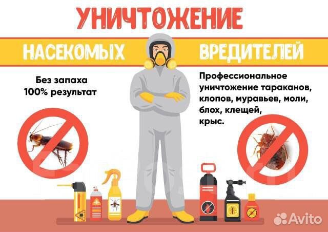 дезинфекция помещений. дезинфекция помещений. дезинсекция костюм. дезинсекция от клопов и тараканов. дезинсекция от блох.