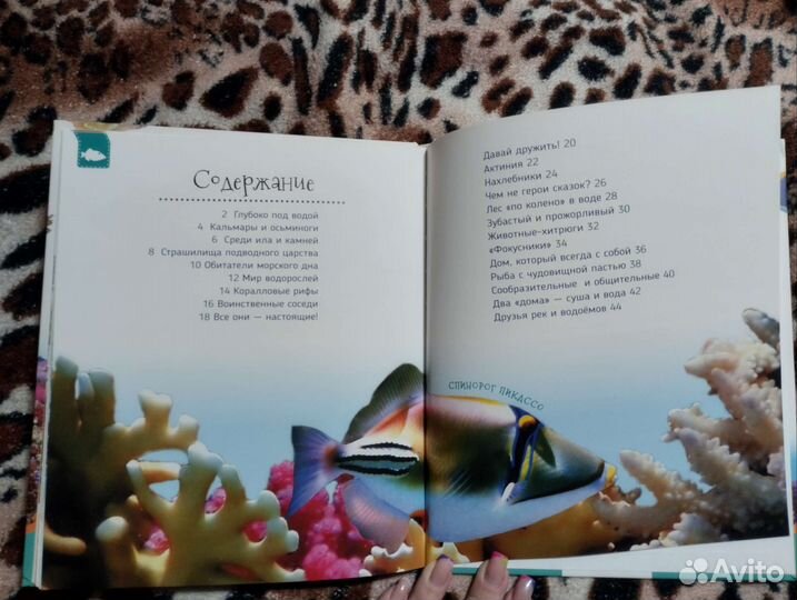 Энциклопедия Подводный мир