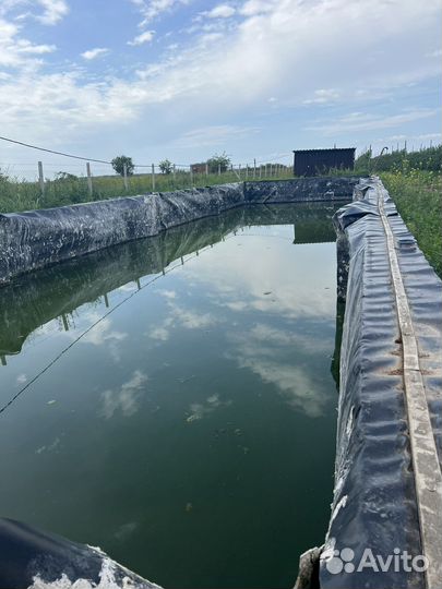 Продам готовый бизнес сад