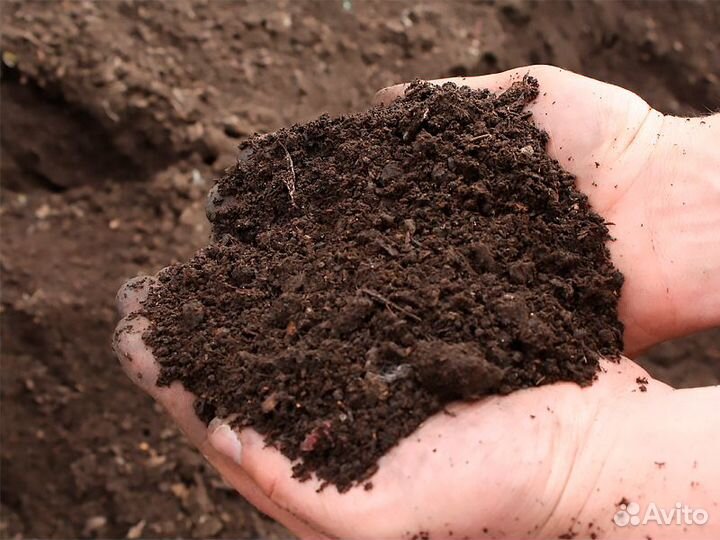 Чернозем / Грунт плодородный
