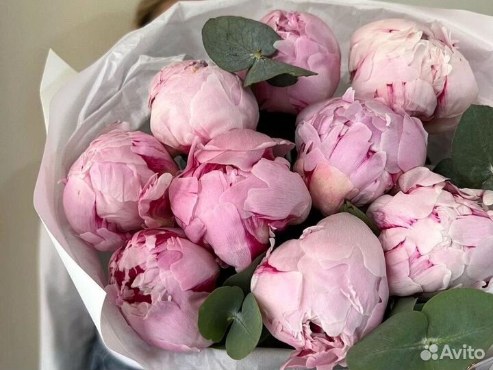 Пионы Доставка цветов букеты