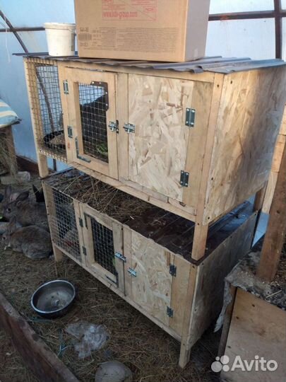Клетка для кроликов