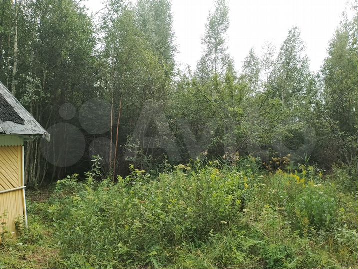 Участок 10 сот. (СНТ, ДНП)