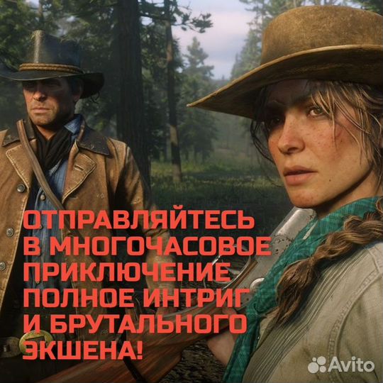 Red Dead Redemption 2 (xboxone)