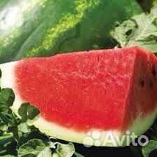Арбуз Каристан
