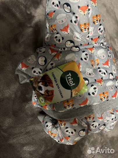 Одежда для маленьких собак xs