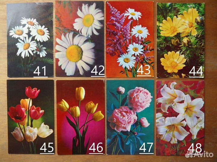 Старые (советские) открытки СССР. Цветы. 2