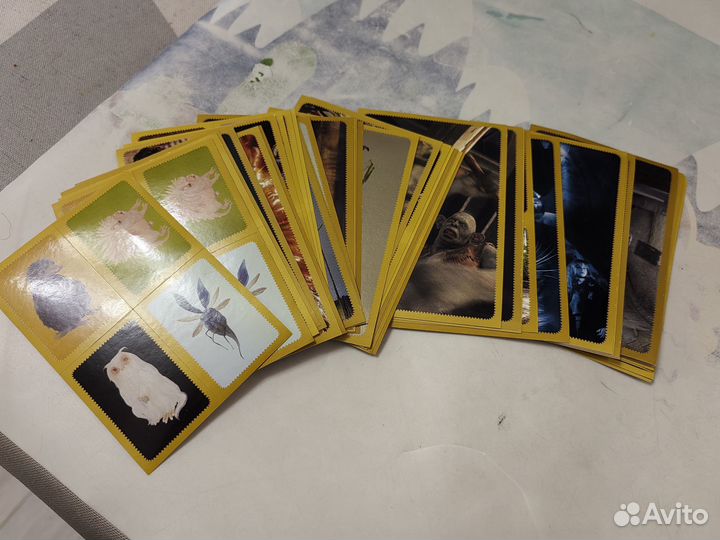 Наклейки panini