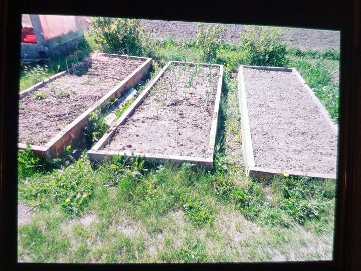 Участок 6,3 сот. (СНТ, ДНП)