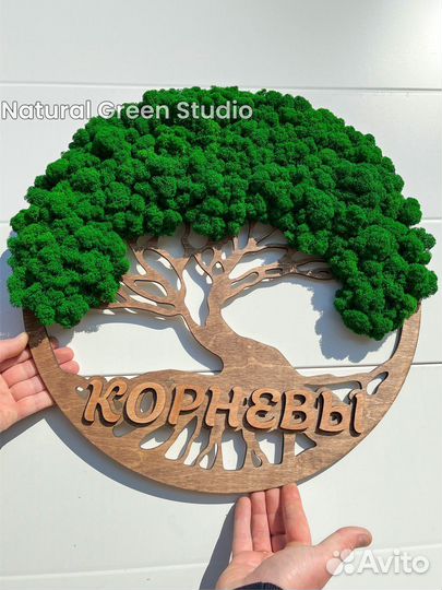 Мох стабилизированный вывеска логотип