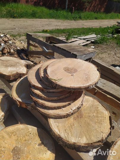 Спилы дерева береза