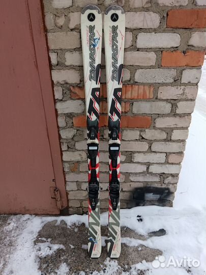 Горные лыжи