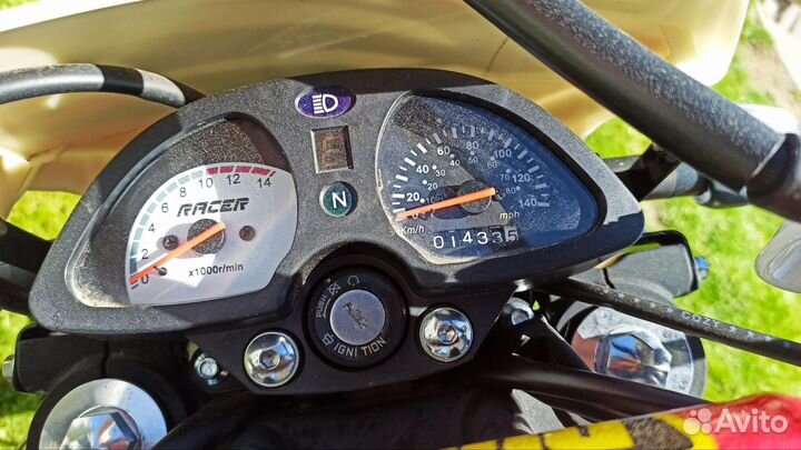 Raser panthera 250
