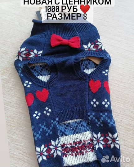 Наряд для собаки малых пород