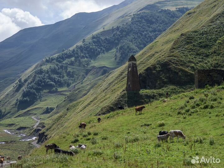 Экскурсия — Грозный — Аргунское ущелье и некрополь