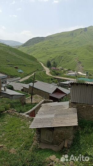 Горный мед от производителя