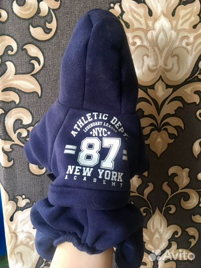 Спортивный комбез