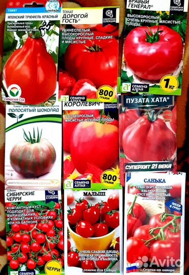 Рассада помидор огурцов перцев