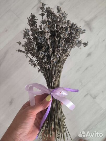 Лаванда сухоцвет