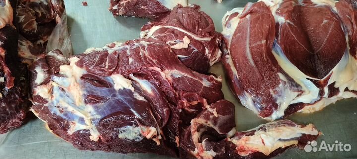 Мясо говядина