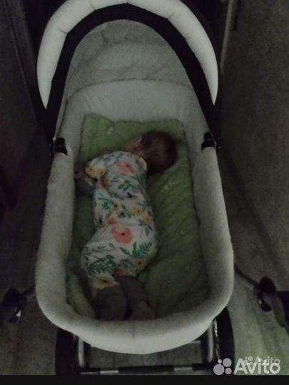 Коляска на все сезоны