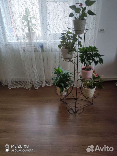 Ламинат таркетт