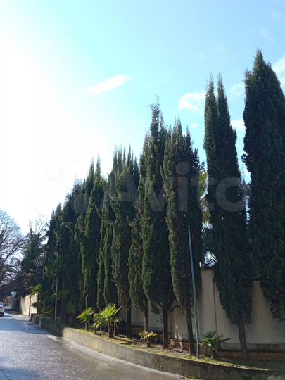 Квартира-студия, 26,5 м², 3/9 эт.