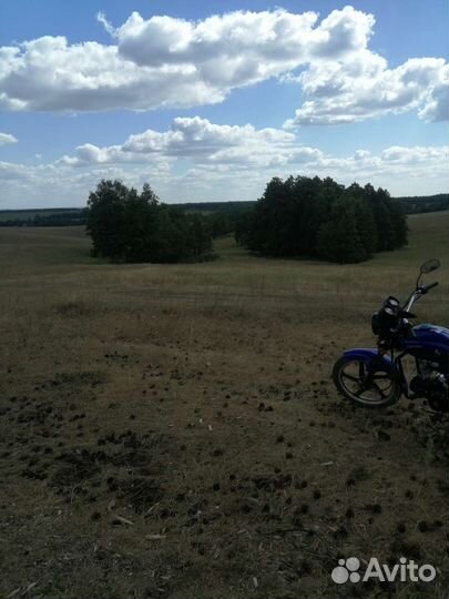 Мопед альфа 110