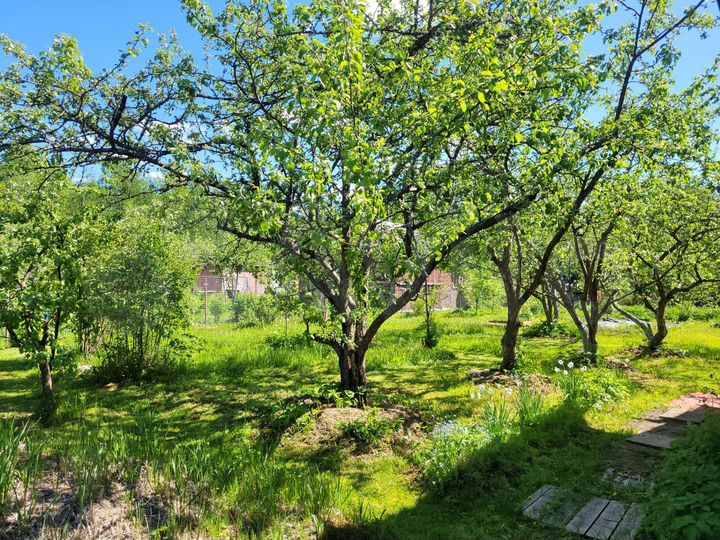 Дача 36 м² на участке 9 сот.