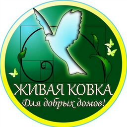 Живая ковка для Добрых Домов