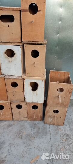 Домики дл волнистых попугаев