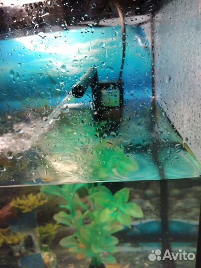 Аквариум с рыбками и всеми принадлежностями