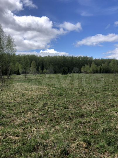 Участок 1000 га (СНТ, ДНП)