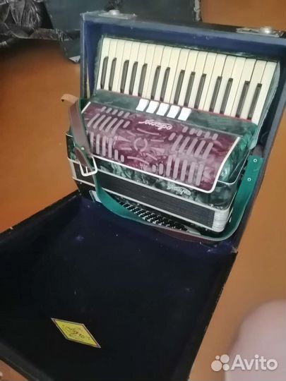 Аккордеон аккорд калуга