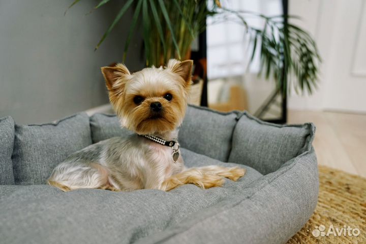 Лежанка для маленьких собак(кошек)