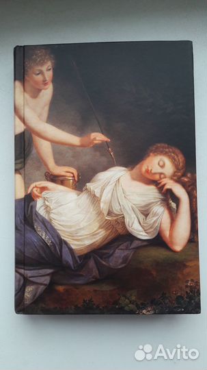 Э.-Э.Шмитт Попугаи с площади Ареццо