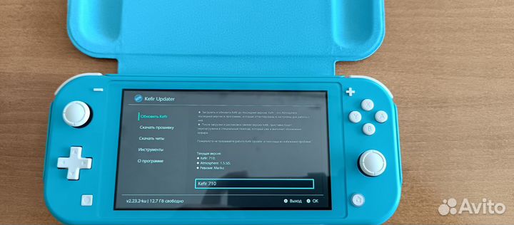 Nintendo switch lite прошитая