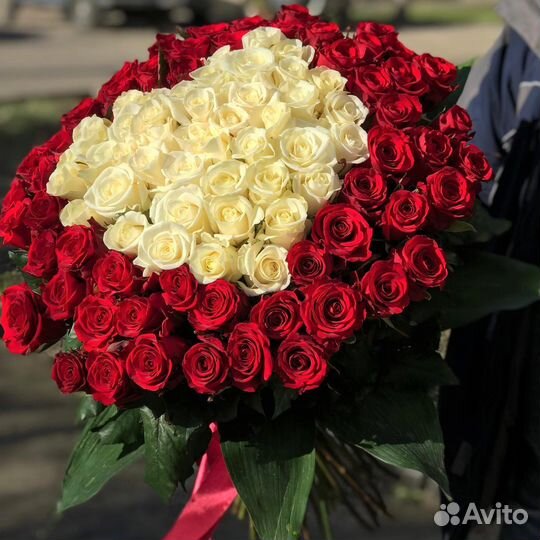 Розы 25 Роза 31 Роза 51 Роза 101 Ароматные Розы