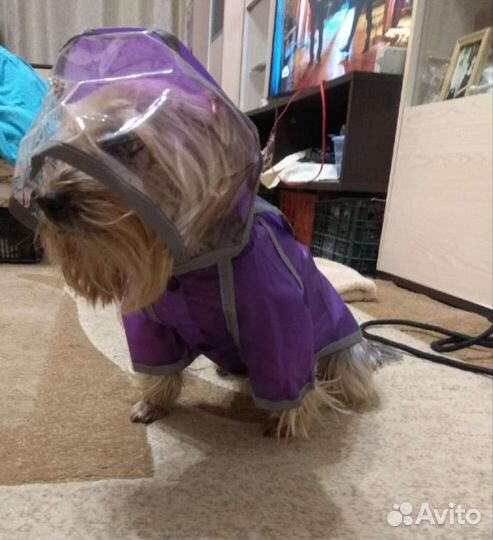 Дождевик для собак